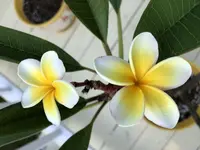F0596429-D230-43EB-97E5-C0D00831FF80.webp