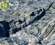 10 serpent.webp