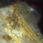 Z-FlatLead-10-GiltParallelRadialLines.JPG Z-FlatLead-10-GiltParallelRadialLines.JPG