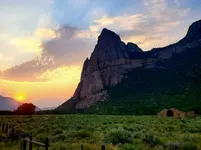 20210713_063411.webp