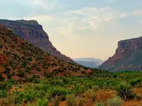 20210713_071639.webp