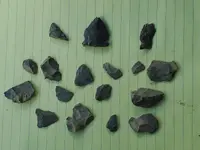 20210728_163520.webp