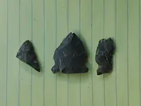 20210728_163556.webp