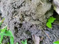 20210813_172719.webp