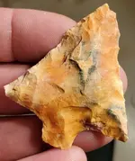 20210729_021328.webp