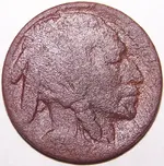 1st buffalo.webp