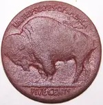 1st buffalo back.webp 1st buffalo back.webp