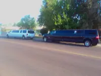salt n pepper limos.webp