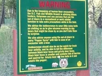 bear (Medium) (Large).webp