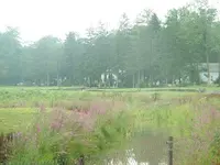 Picture 052.webp