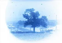 !161861118_o.webp