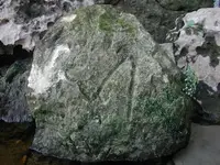 P1010253-c.webp