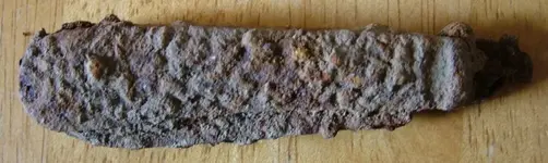 DSCF7028.webp