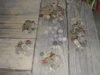 DSCN2535.webp