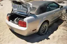 stang4.webp