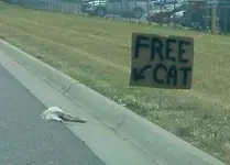 free-cat.webp