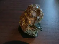 DSCF1697.webp