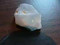 DSCF1729.webp
