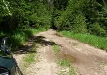 road hunt 2.webp
