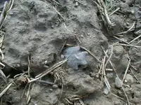 Picture 180.webp