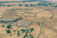 roadtrain5.webp