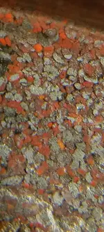 20210713_193936.webp