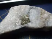 DSCF4670.webp