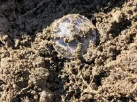 1877SeatedDime090421R.webp