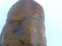 DSCN6575.webp