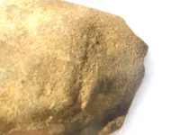 DSCN6570.webp