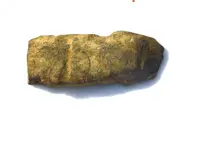 DSCN6566.webp