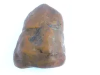 DSCN6574.webp