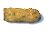 DSCN6568.webp
