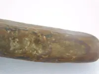 DSCN6605.webp