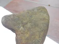 DSCN6610.webp