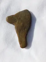 DSCN6551.webp