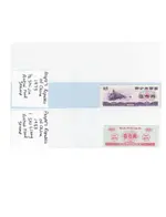 China food stamps 3.webp