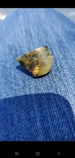 Screenshot_20210814-095114_Rock Identifier.webp