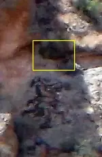 cave at (9).webp