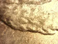 20120930_SatSep2921-01-59.webp