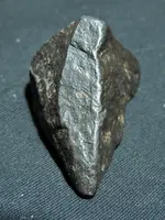 DSCN7394.webp