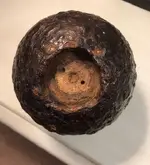 cannon ball 1.webp