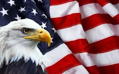 4th July 2019.webp