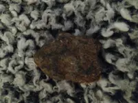 IMG_20210806_123641.webp