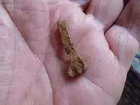 nail.webp
