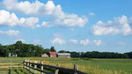 20210628_181753.webp