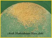 north s river gold.webp