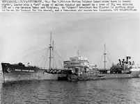 ss-marine-sulphur-queen-0d9ede66-d126-4a76-8663-6ce2a3ee758-resize-750.webp