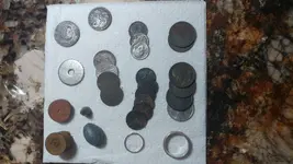 30jan21 hunt1.webp