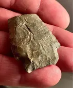 ImageUploadedByTreasureNet.com1629035891.708981.webp